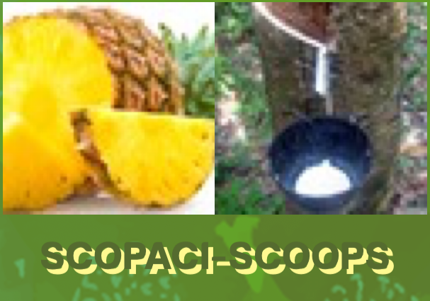SCOPACI-SCOOPS